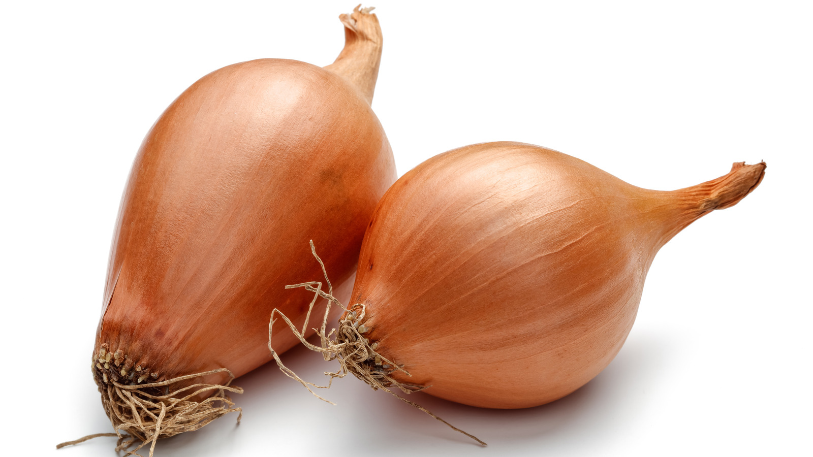 What Are Shallots And What Do They Taste Like 