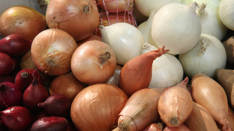 onions and shallots