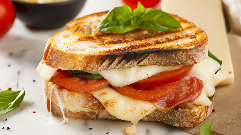 Tomato sandwich with cheese and leafy greens