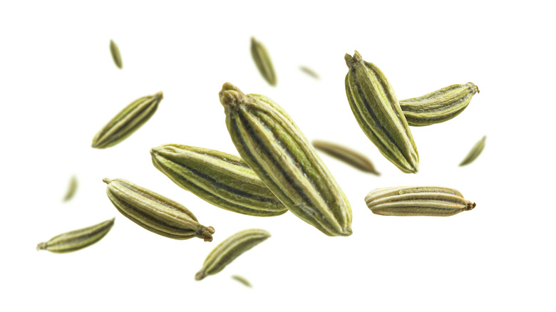 fennel seeds