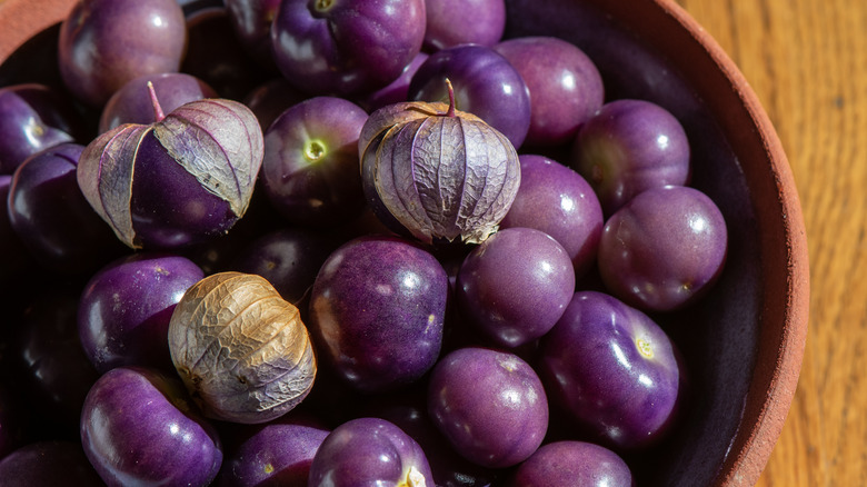 Purple tomatillos in bowl