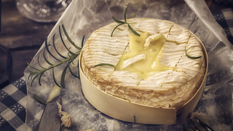 camembert cheese