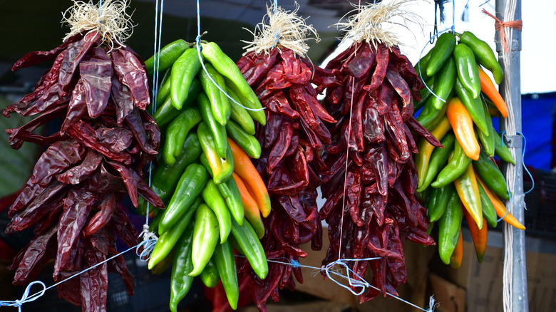 New Mexico hatch chile