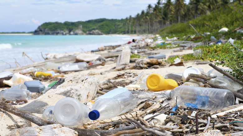 Trash on a beach