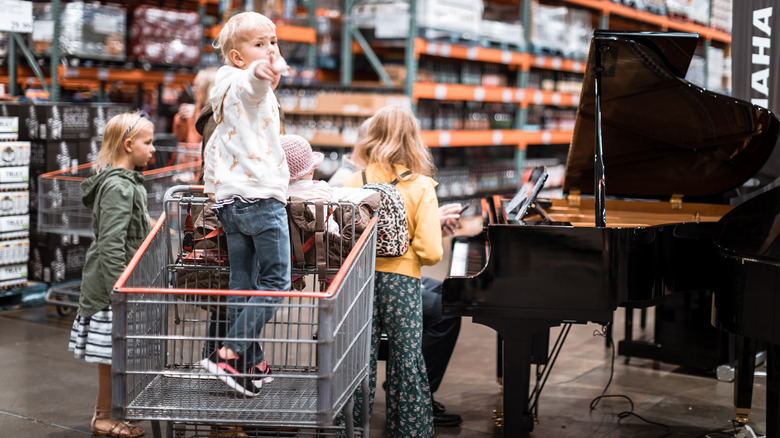 Boy standing in Costco shopping cart