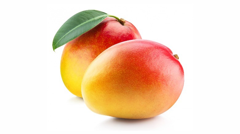 Mangoes on white background