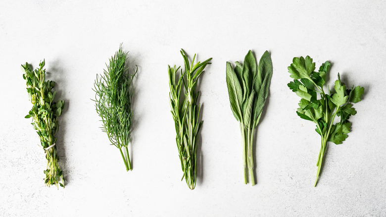 Rosemary, thyme, dill, and sage