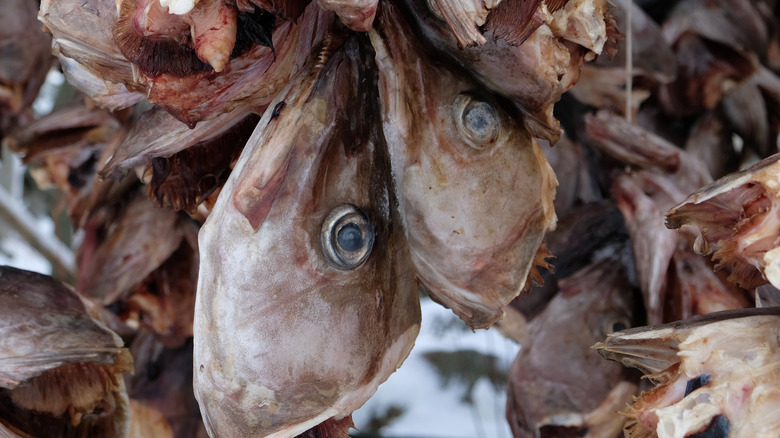 Dried fish