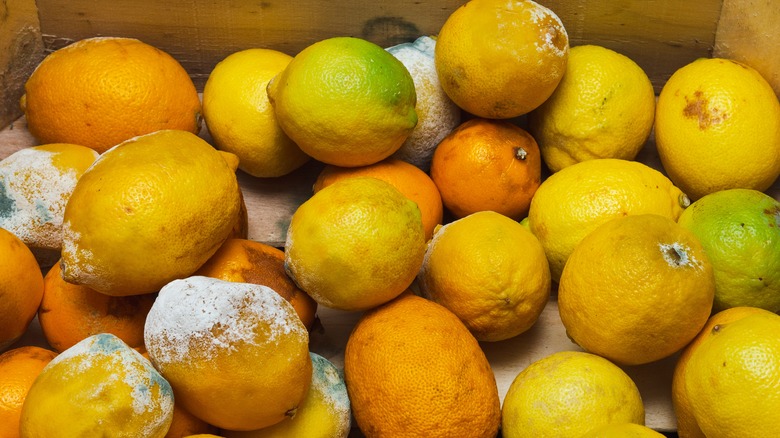 Fruit rotting in wooden box