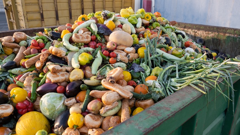 Dumpster overflowing with trashed produce