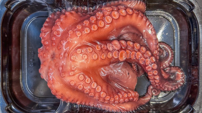 Raw octopus tentacles in tray