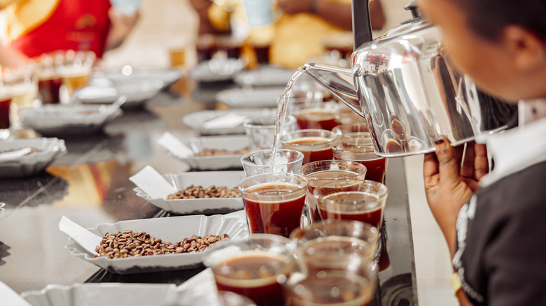 Woman pouring for coffee cupping