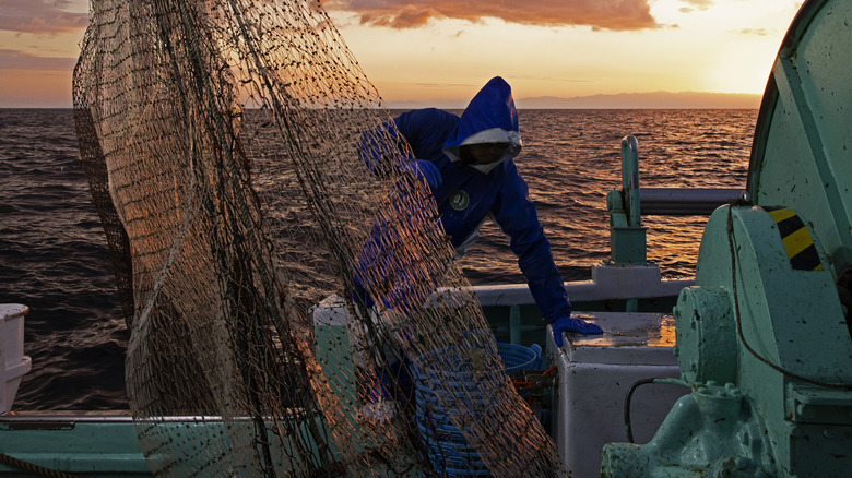 Man on fishing boat