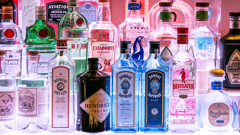 bottles of gin