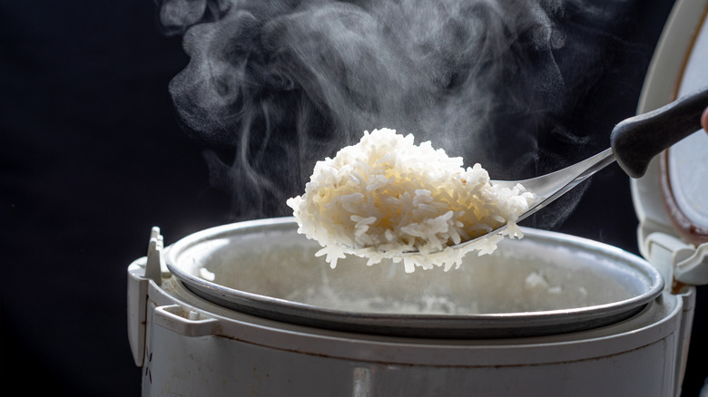 Scoop of rice over rice cooker