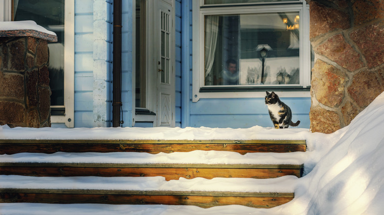 snowy front porch