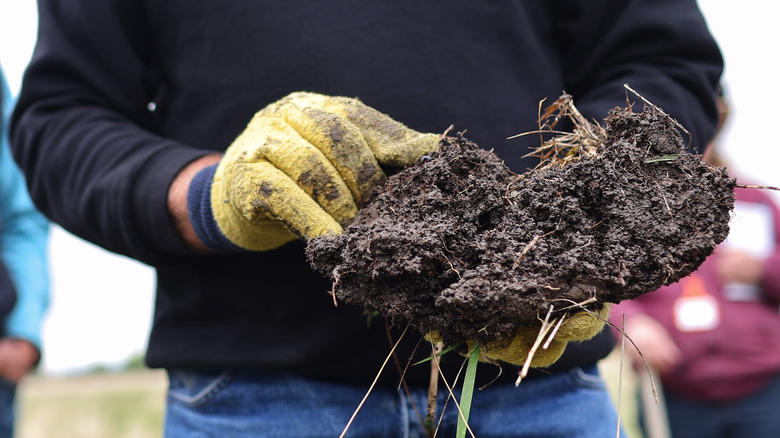 Farmer's gloved hands holding healthy soil