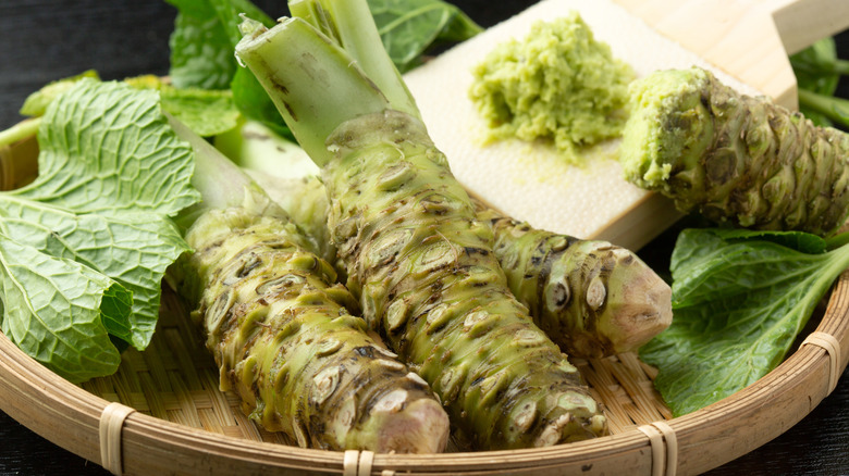 wasabi plant and grated wasabi