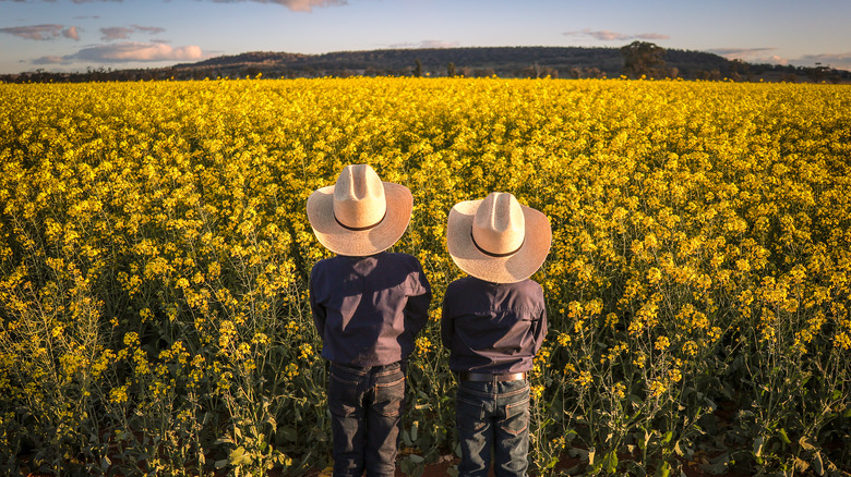 Two farm boys staring at a field