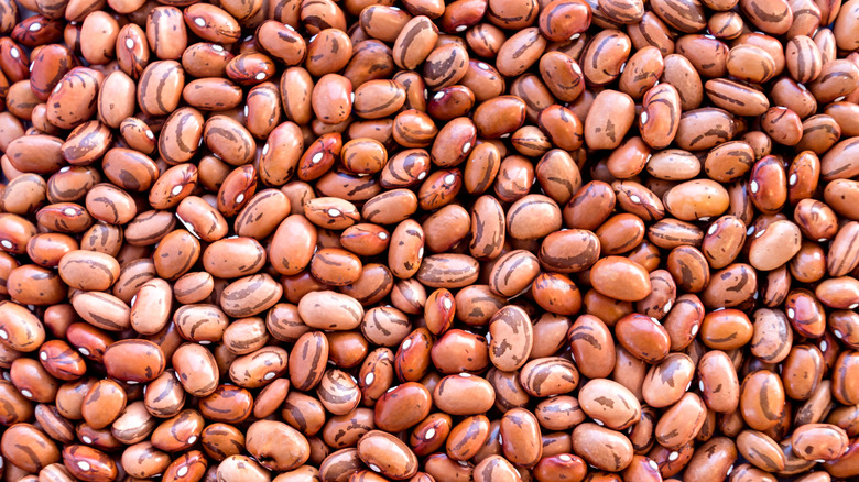 dried pinto beans