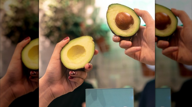 person holding avocado halves