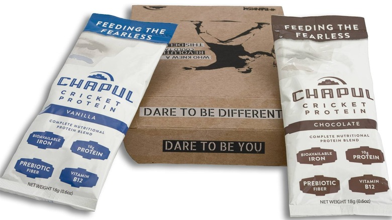 Two Chapul protein bars