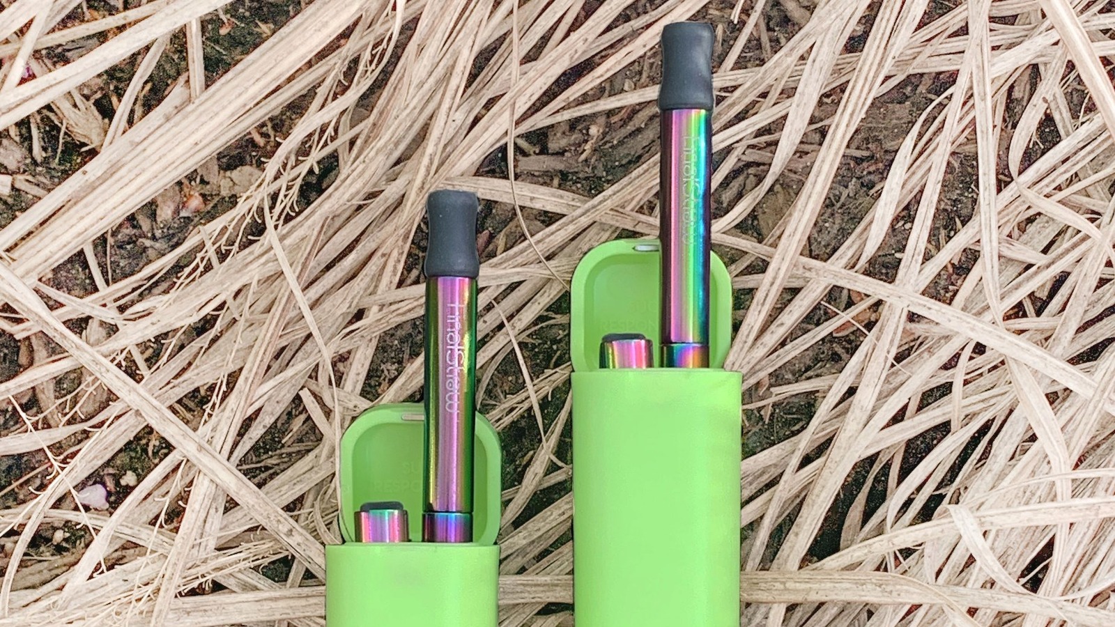 Collapsible Straw - Last Straw - Green