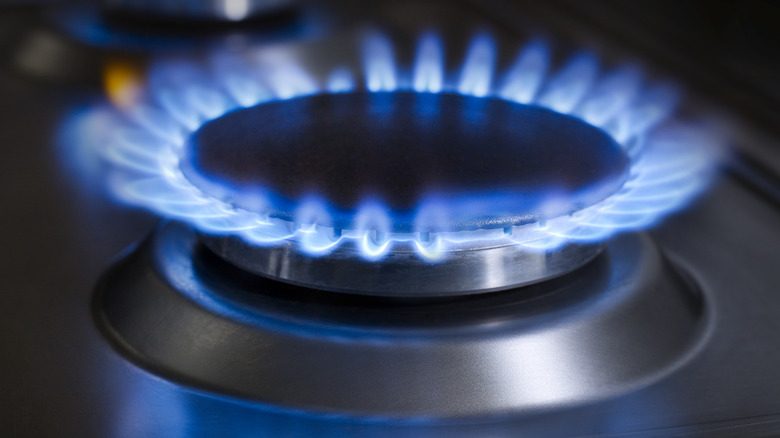 blue flame on a stove