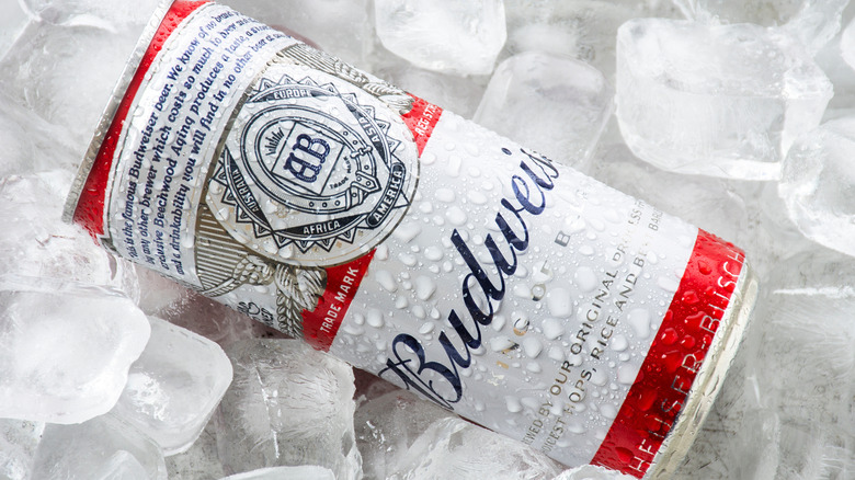 Can of Budweiser beer on ice