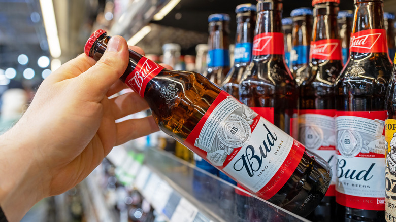 person pulling Budweiser beer bottle from store shelf