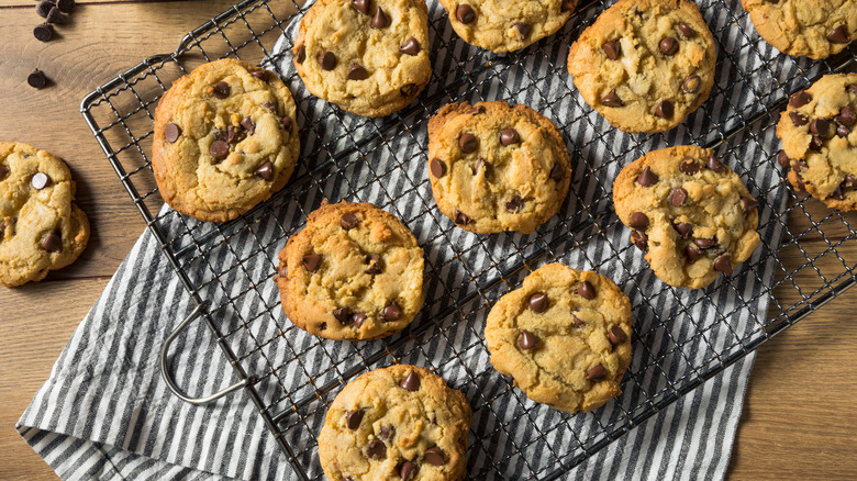 A tray of chocolate chip cookies