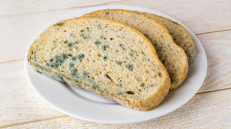 What Happens If You Eat Moldy Bread?