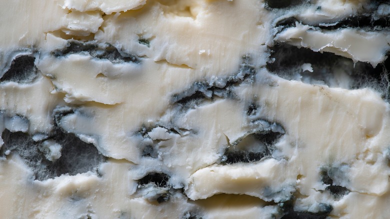 moldy cheese