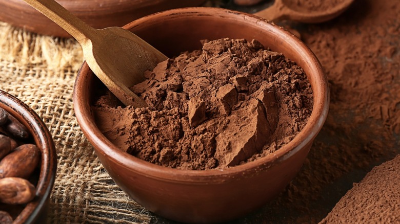 Cocoa powder with wooden scoop