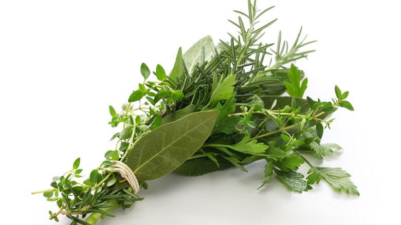 Bouquet garni on a white background