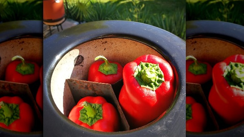 Peppers in a pepper roaster 