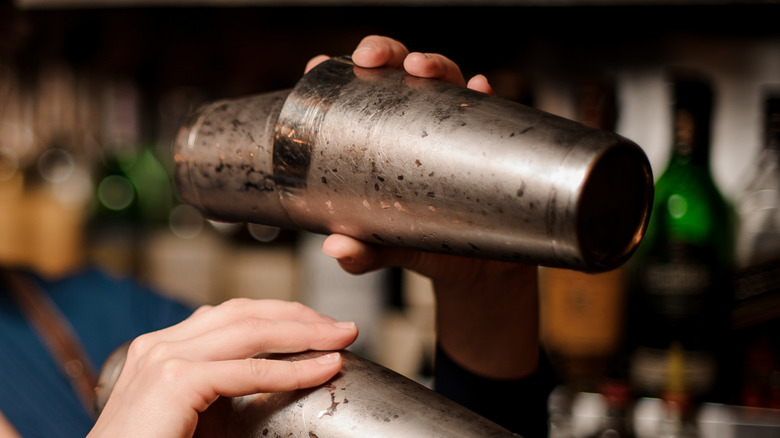 Person holding a cocktail shaker