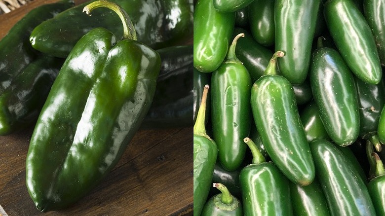 Poblano peppers and jalapeño peppers