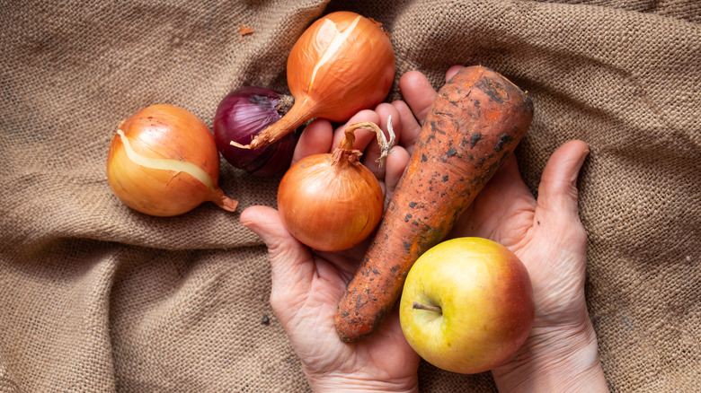 Hands holding fruits and vegetables