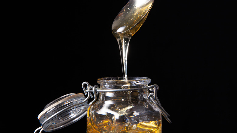 Agave dripping into jar