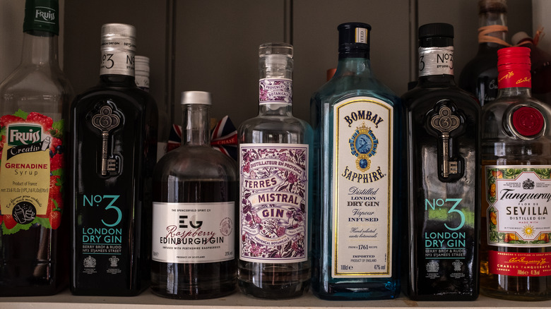 Variety of bottles of gin on a shelf