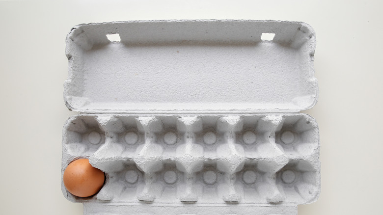 egg carton with only one egg still present