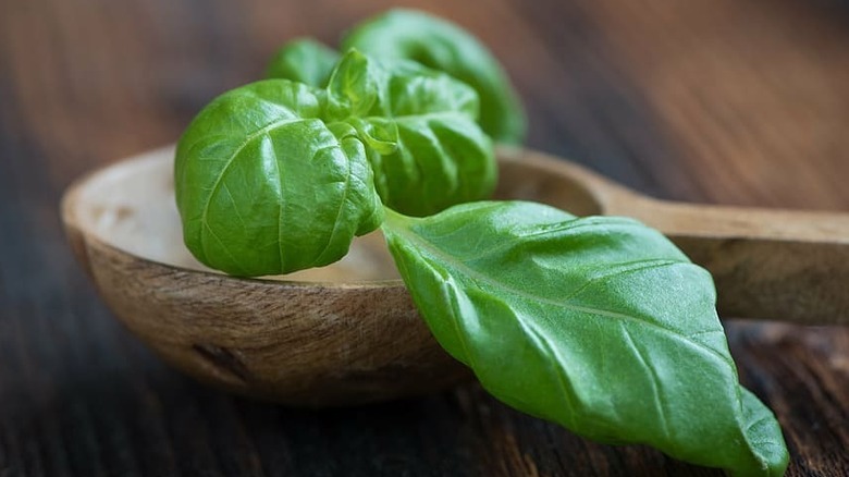 Spoonful of sweet basil