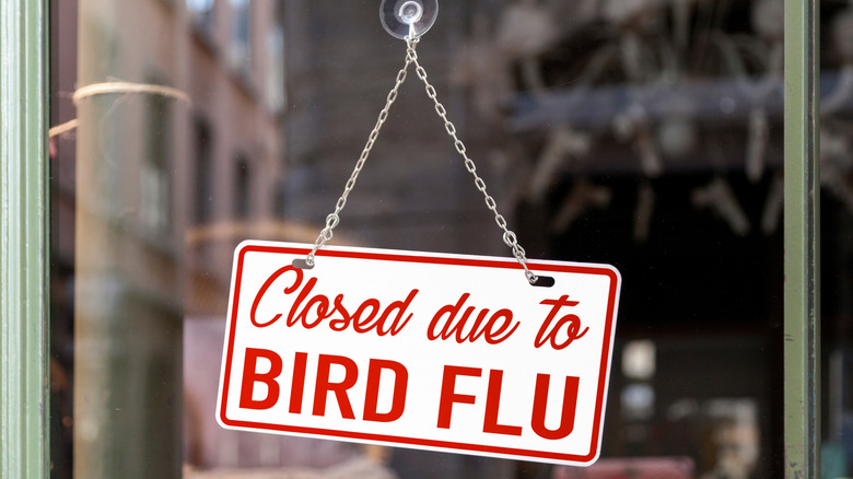 Shop window sign saying closed due to bird flu