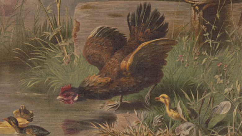 Painting of hen squawking at ducklings