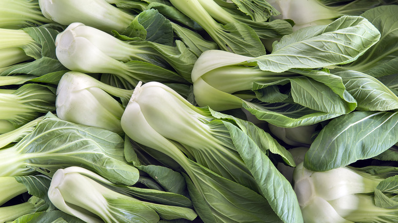 bok choy 