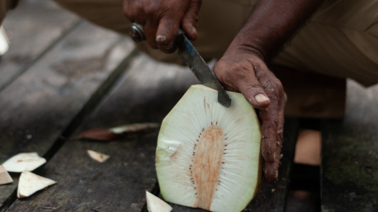 Person slicing breadfruit with a knife 