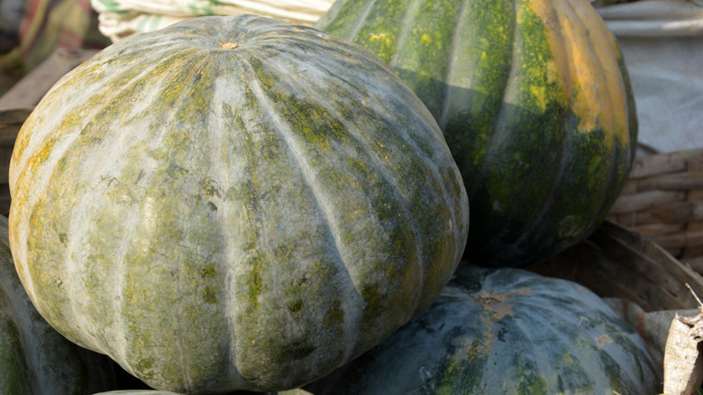 Stacks of green calbaza squash