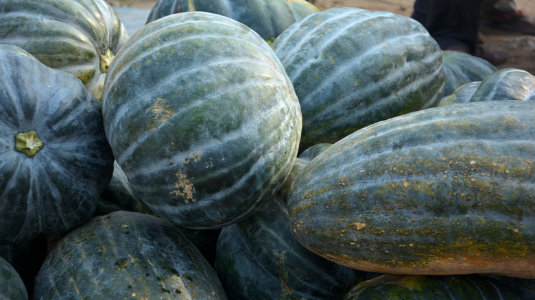 Green calabaza squash stacked on top of each other