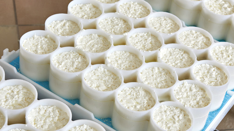 Multiple rows of cylindrical containers of Camembert cheese curds